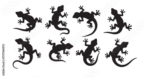  lizards silhouettes set of six silhouettes of lizards vector illustration