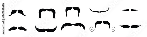 moustache trendy styles set mustache curly horseshoe pencil vector illustration