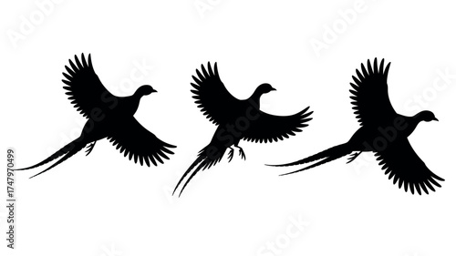 Three Black Silhouette Pheasants in Flight | Bird Vector Graphic