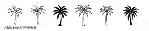 palm tree line art illustration set 