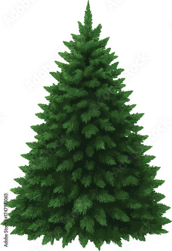 A lush, green coniferous tree with a full, bushy shape, resembling a classic Christmas tree, set against a transparent background