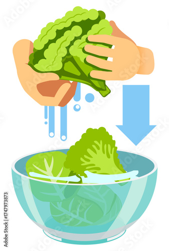Icon vector of various vegetables placed into water bowl, symbolizing washing and healthy food preparation.