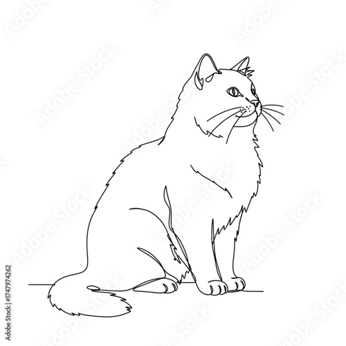 Isolated simple vector drawing of a cat with a mustache and a fluffy tail, made in a simple black and white style.
