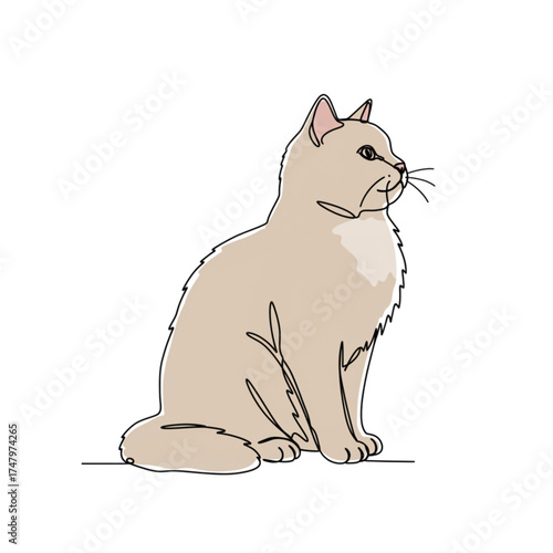 An isolated vector drawing of a light-colored cat, made in a simple black and white style. She sits staring into the distance.