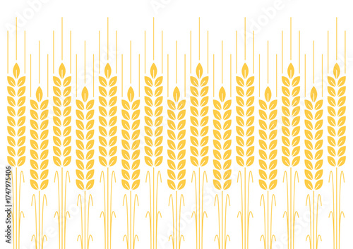 Wheat pattern wallpaper. oat symbol. free space for text. rice sign. Rice pattern wallpaper.