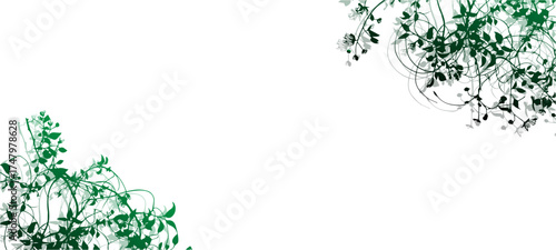 green grass background
