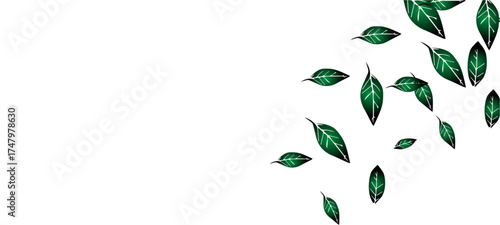 abstract floral background