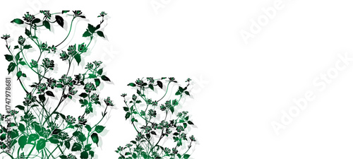 abstract background with grass