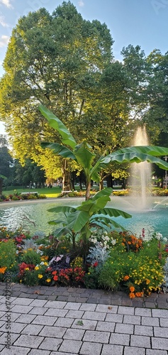 Bananenstaude mit Springbrunnen, Spital an der Drau