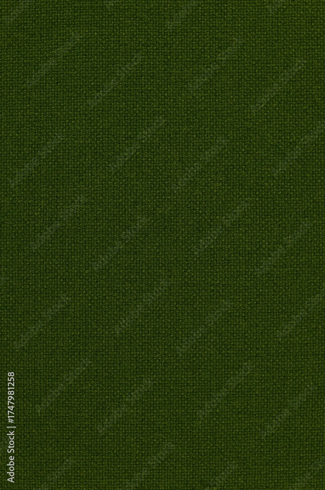 Fototapeta premium High-Res Fabric Texture