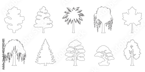 CAD Drawings. Outline Set of tree Includes oak, pine, palm, maple, birch, willow, cypress, spruce, bonsai, and fruit trees. Vector illustration.