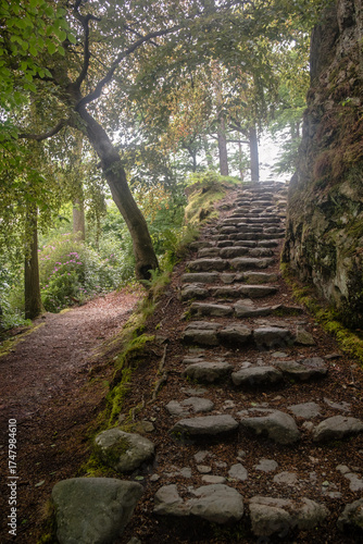 Path with stone stairs in the woods as part of the Ullswater Way, Lake District National Park, England