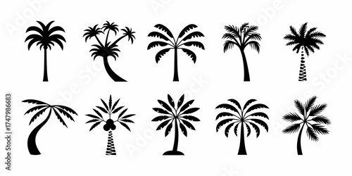 Collection of diverse black palm tree silhouettes on a white background for tropical and vacation themes