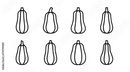 Collection of diverse yellow butternut squash shapes for autumn harvest and cooking designs vector