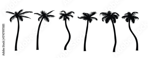 palm tree black silhouette realistic set tropic leaves 