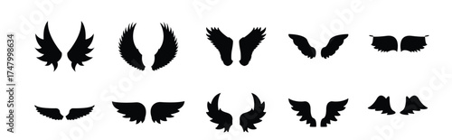 different types of wings vector set in black color