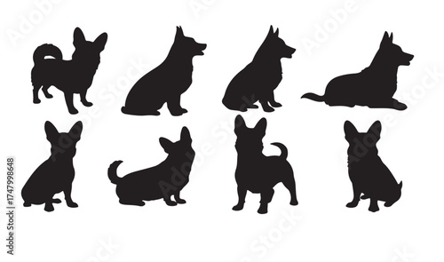 Set of silhouettes of various breeds of dogs 