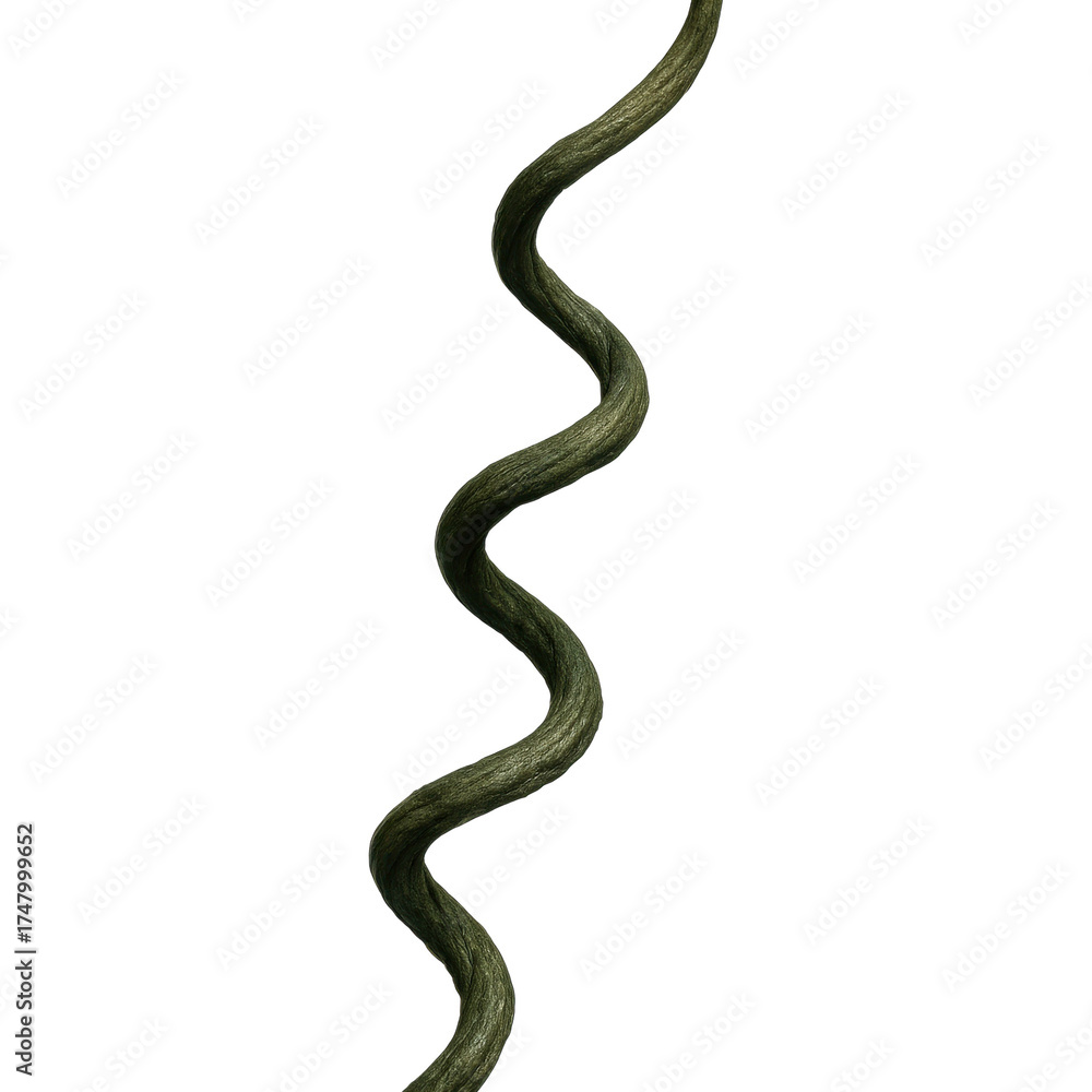 Obraz premium Twisted Dark Green Liana Vine Natural Decor Landscaping