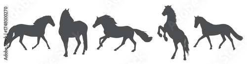Horse silhouettes pack vector