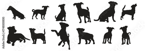 Jack russell dog silhouettes
