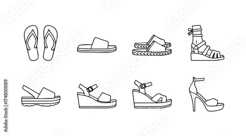Collection of diverse footwear styles showing sandals flip-flops and heels vector