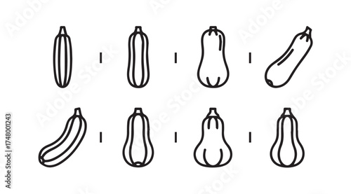Assortment of yellow squash varieties showing different shapes and sizes isolated on white vector