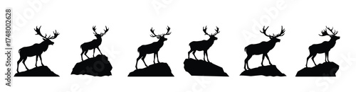 majestic deer silhouettes stand proudly atop rocky outcrops