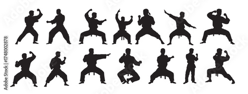 martial art silhouette