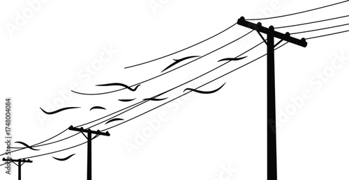 Utility poles with power lines, flying birds in sky, urban infrastructure with nature, perspective depth, electricity cables, flock of birds, outdoor landscape, environmental harmony