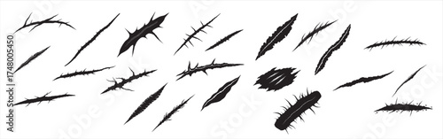 scars silhouette white background