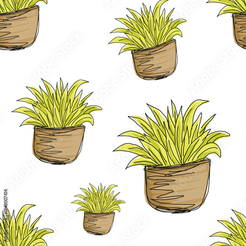 seamless pattern with green flower on the pot illustration hand drawing style.eps