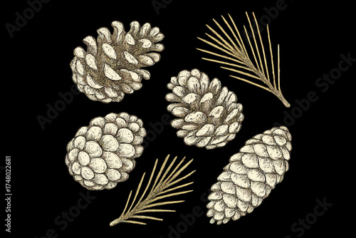 Detailed drawing of pine cones and needles on black background