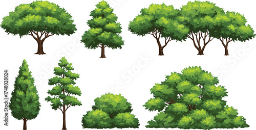 Collection of lush green trees and bushes, natural landscape elements for outdoor design, garden decoration, and environmental background, cad drawing flat vector illustration