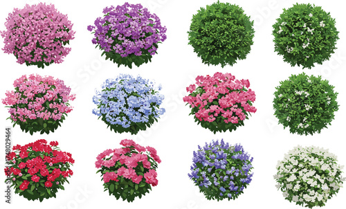 Colorful flower bushes and green shrubs top view collection, garden landscape plant set, realistic foliage design, CAD drawing flat vector illustration, botanical nature artwork
