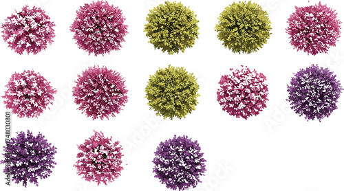 Colorful top view bushes and trees collection, decorative garden plants illustration, green yellow purple foliage texture, realistic landscape element, outdoor vegetation design, nature foliage art
