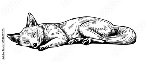 A serene wildlife scene is depicted in the black and white silhouette of a sleeping fox