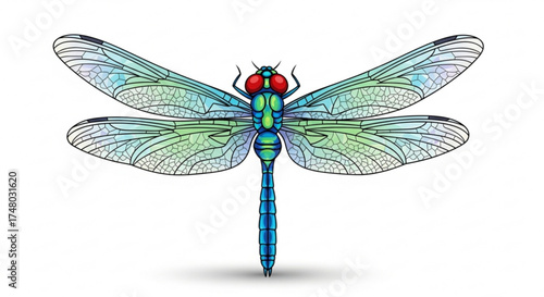 Illustration of a dragonfly the dragonfly has blue and green body and transparent wings insect with beautiful wings