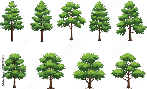 Realistic green tree collection for landscape design, park, garden, and outdoor nature environment, cad drawing flat vector illustration, eco friendly art, foliage vegetation