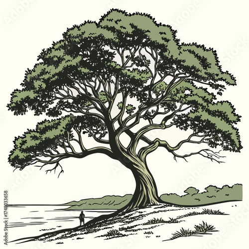 Majestic ancient tree with sprawling branches stands on a grassy shore overlooking calm water