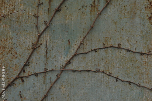 Rust Corrosion Rough Grunge Metal Texture