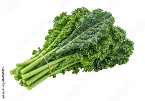 Isolated bunch of fresh green curly kale vegetable, raw healthy salad ingredient nutrition