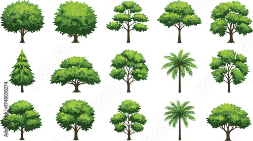 Different types of green trees collection, nature plant landscape design elements, forest environment concept, CAD drawing flat vector illustration