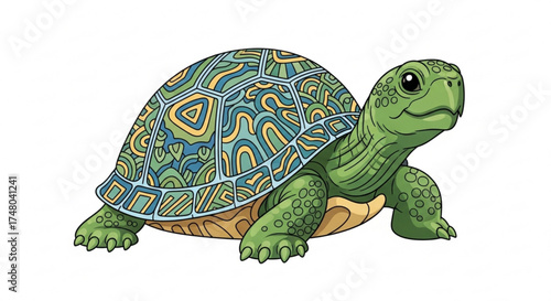 A charming cartoon turtle with a patterned shell, , showcasing intricate details and vibrant colors in a delightful illustration
