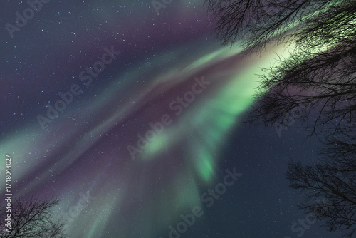 Rainbow of colors in the form of a strong Northern Lights display beyond the Arctic Circle in the Troms region of northern Norway. Green fades into purple-pink, then into blue