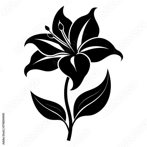 Belladonna Lily vector clean black silhouette design white background