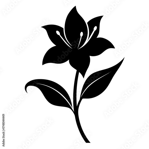 Belladonna Lily vector clean black silhouette design white background