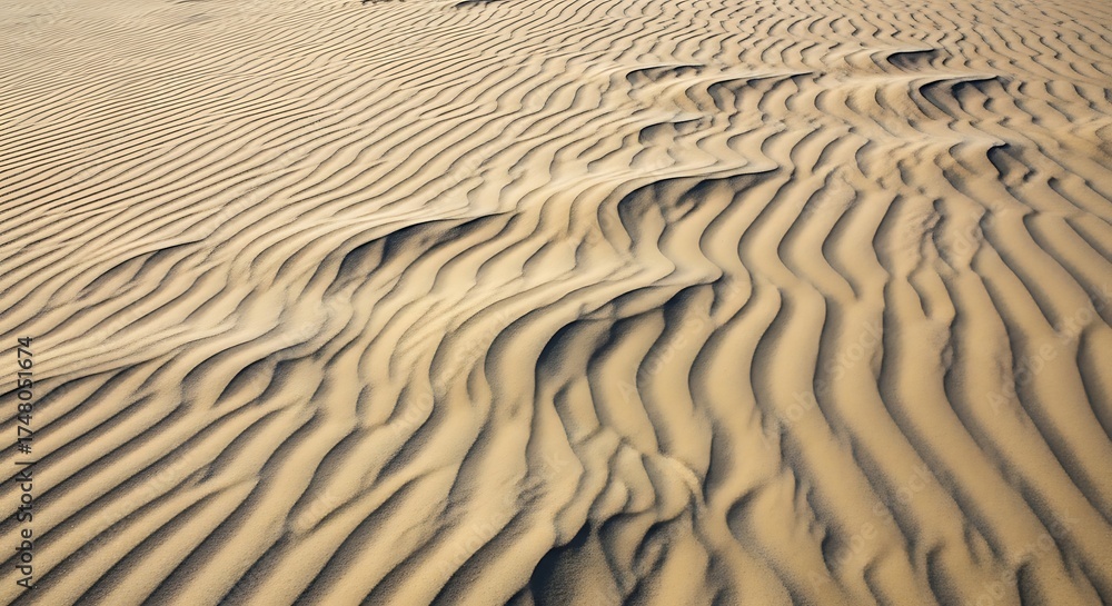 Obraz premium Intricate patterns of wind-blown sand dunes in a vast desert landscape.