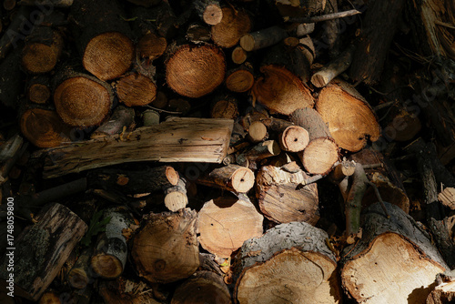 Wall from dry firewood stacked up on top of each other in a pile. Textured wooden background