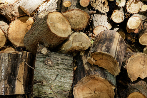 Wall from dry firewood stacked up on top of each other in a pile. Textured wooden background