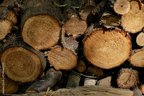 Wall from dry firewood stacked up on top of each other in a pile. Textured wooden background